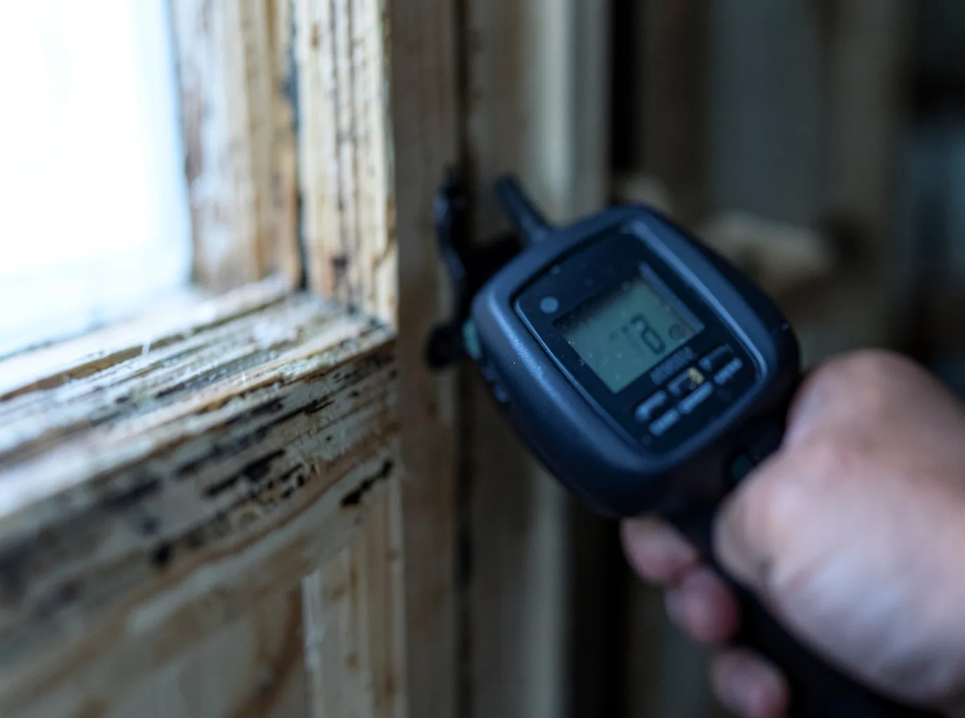 Moisture Inspection And Documentation in Mineral, TX